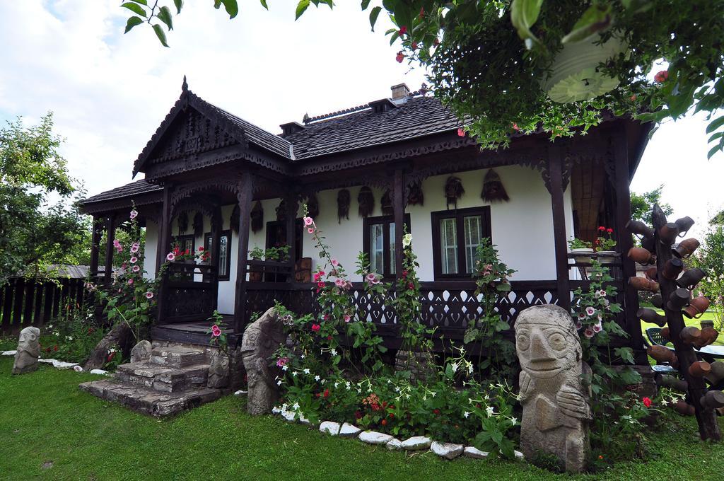 Bed & Breakfast Popamuseum Tarpesti Strada Muzeului Nr 28 Tîrpeşti Exterior foto